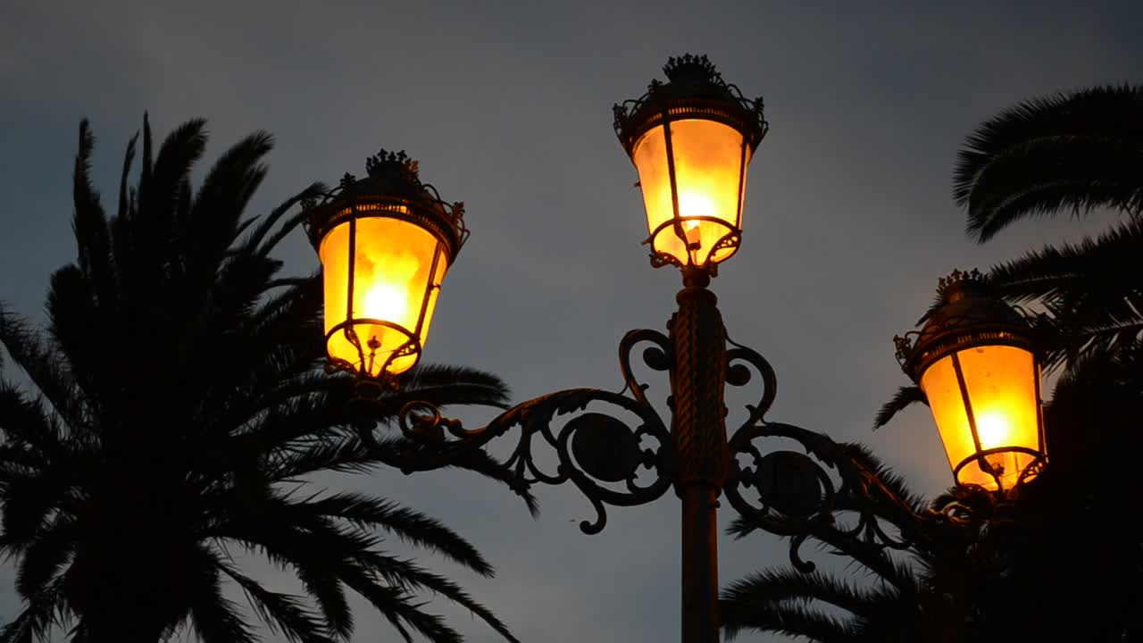 Stock Video Orange Street Lamps At Night Live Wallpaper