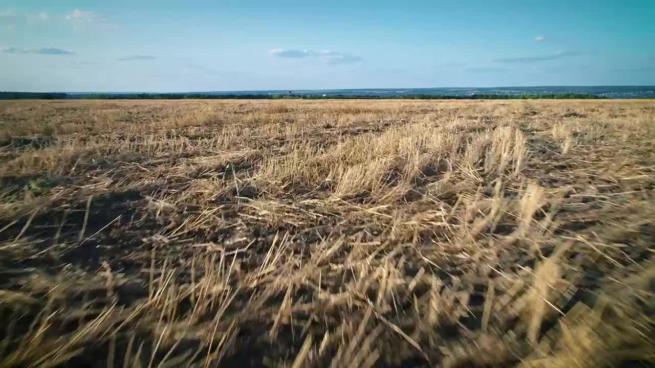 Stock Video Over Flying On A Dry Agriculture Field Live Wallpaper