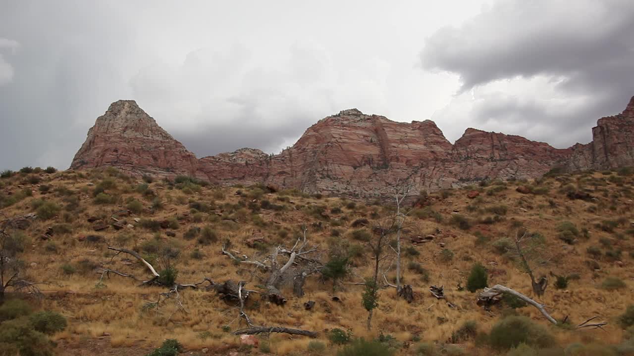 Stock Video Overcast Day In A National Park Live Wallpaper