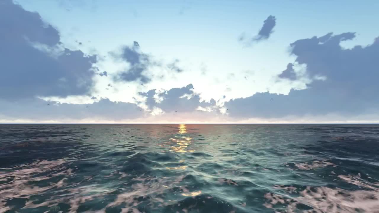Stock Video Pacific Sea In D With Birds In A Sunset Live Wallpaper
