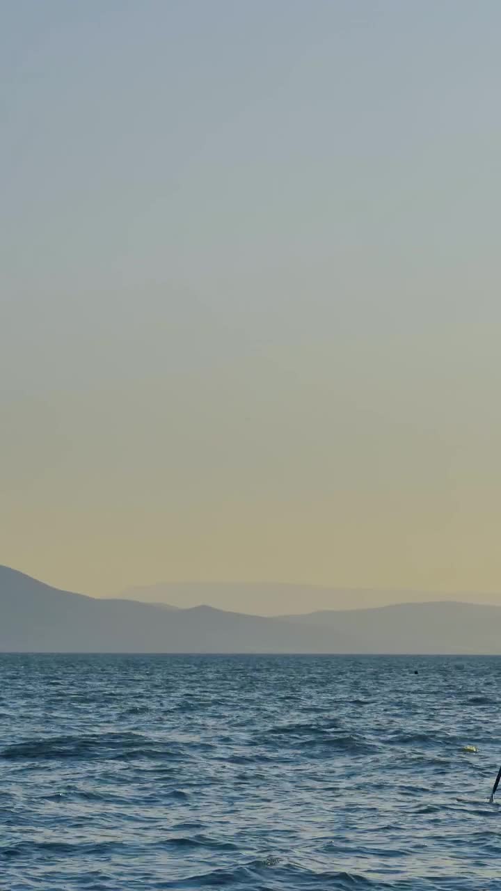 Stock Video Paddleboarder Live Wallpaper