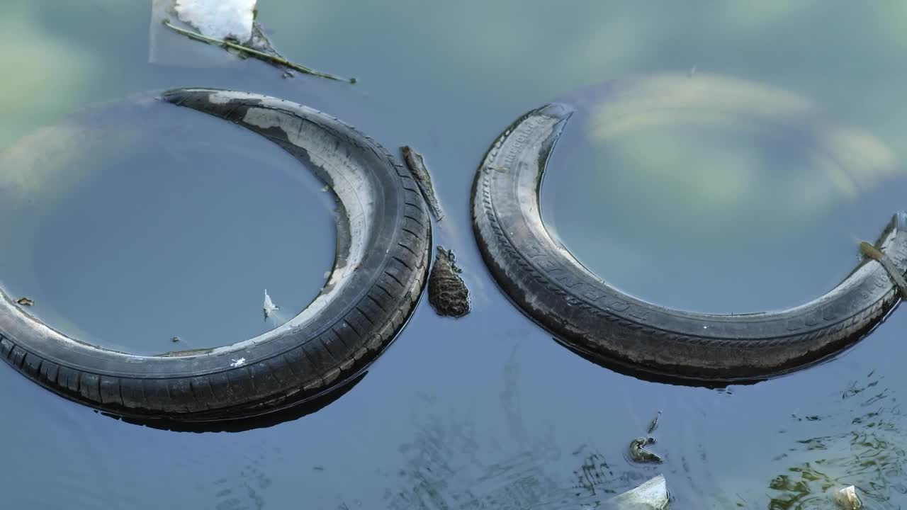 Stock Video Pair Of Old Tires Submerged In The Water Of A Live Wallpaper