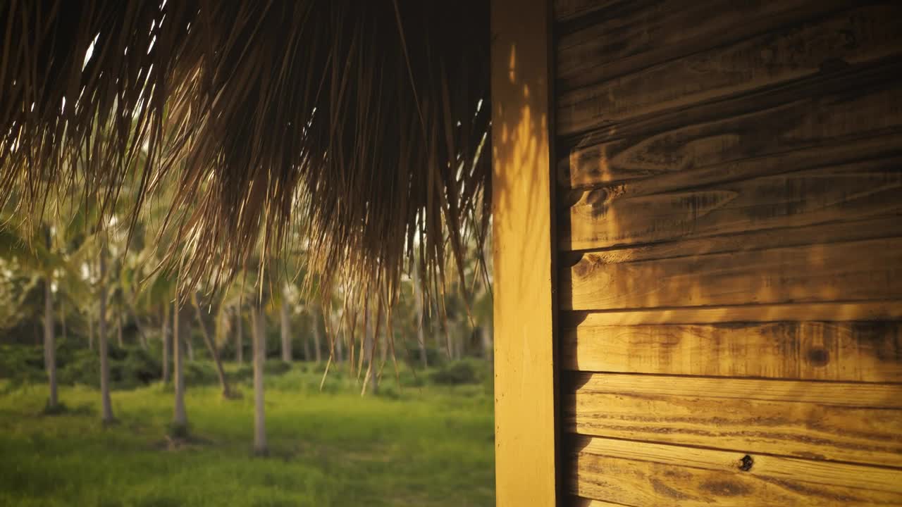 Stock Video Palapa And A Palms Garden Live Wallpaper