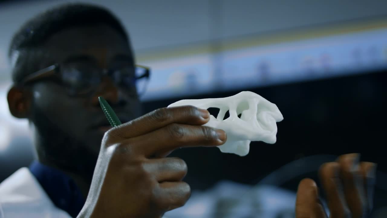 Stock Video Paleontologist Studying A Dinosaur Skull Live Wallpaper