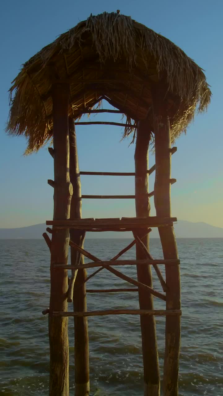 Stock Video Palm Frond Lifeguard Station Live Wallpaper