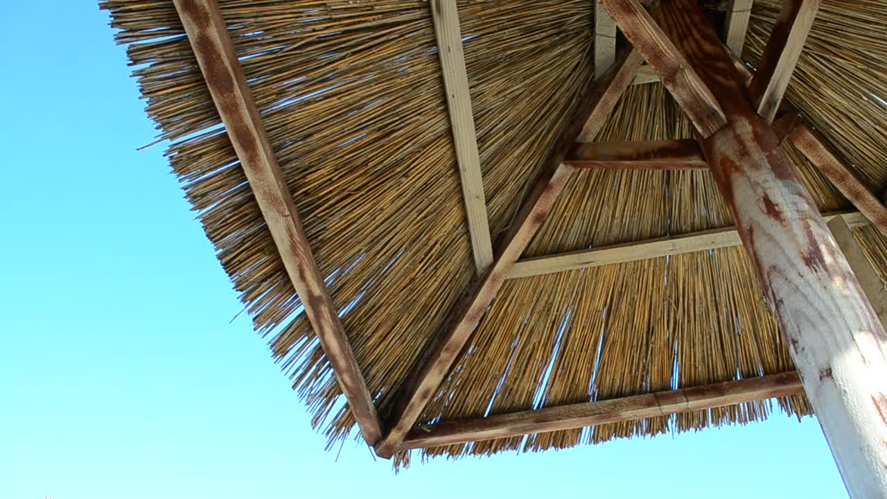 Stock Video Palm Roof On A Sunny Day Live Wallpaper