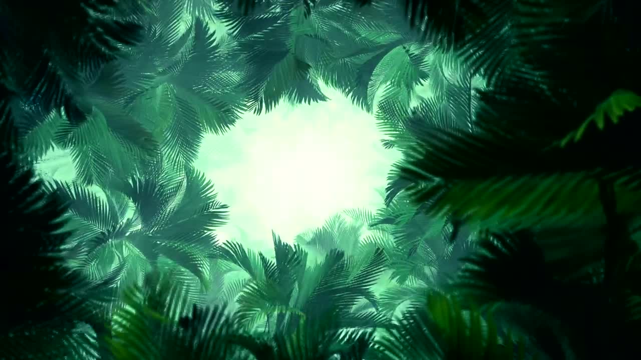 Stock Video Palm Tunnel D Animation Live Wallpaper