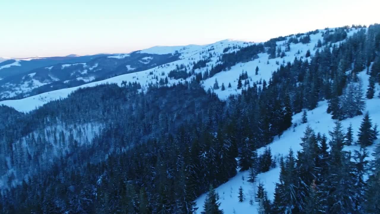 Stock Video Pan Aerial Shot Of A Winter Forest Aerial Shot Live Wallpaper