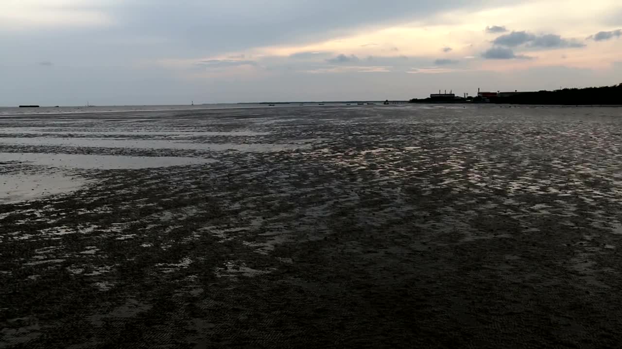 Stock Video Panning In Wetlands On A Cloudy Day Live Wallpaper