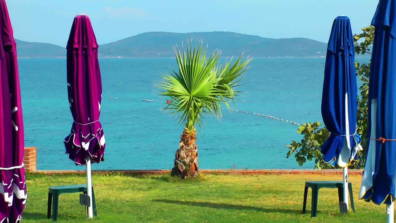 Stock Video Parasols In The Garden With Sea View Live Wallpaper