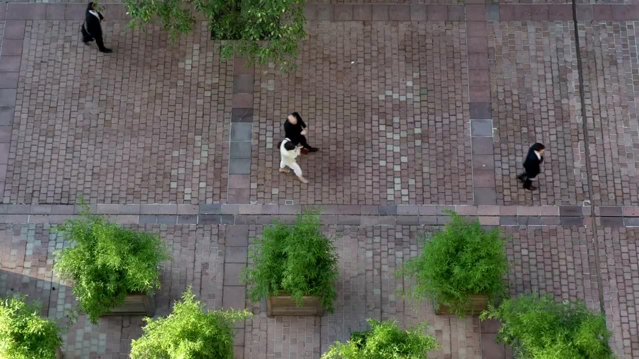 Stock Video Paris Pedestrian Path Live Wallpaper