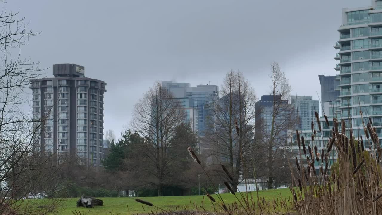 Stock Video Park Of A Big City In Autumn Live Wallpaper