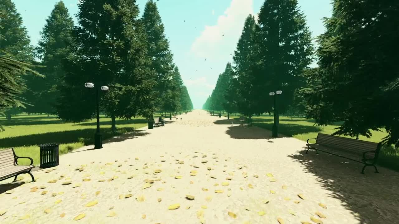 Stock Video Path In A Park With Pigeons And Trees Live Wallpaper