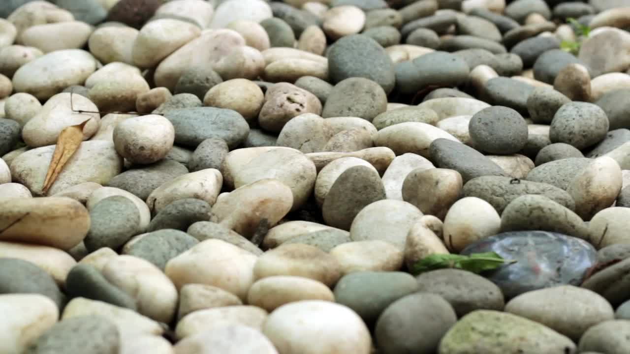 Stock Video Path Of Pebbles Live Wallpaper