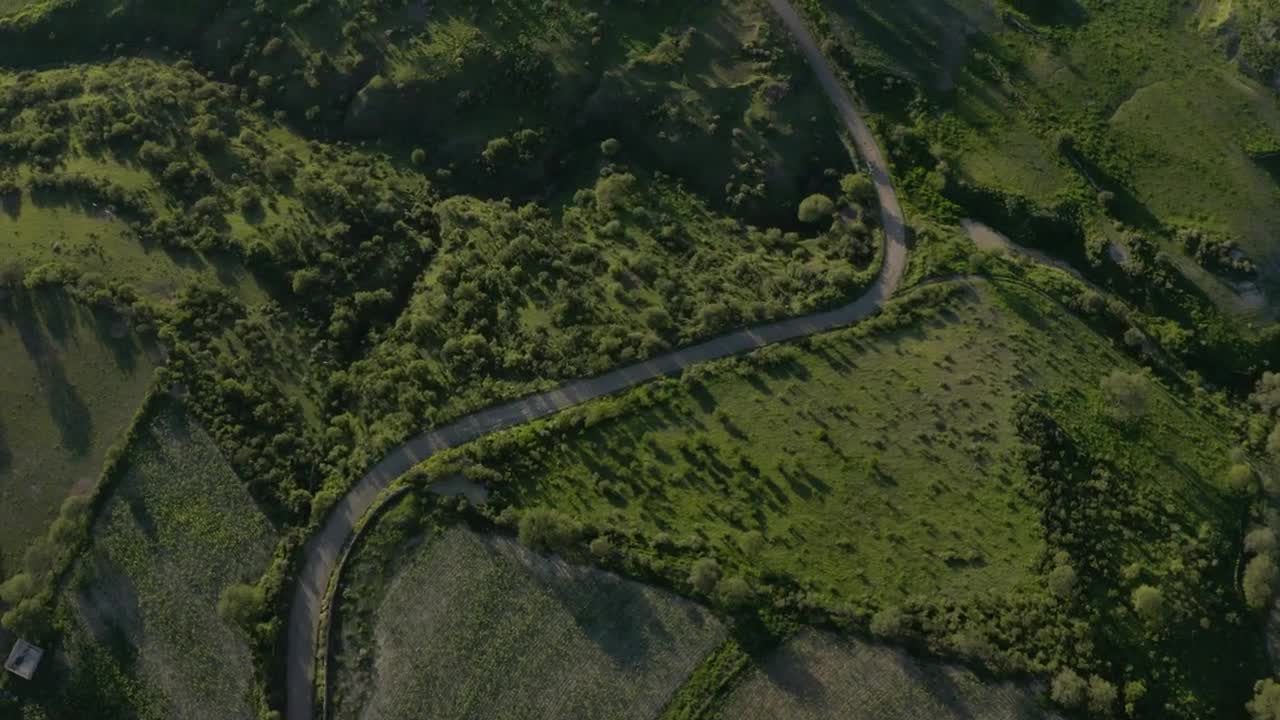 Stock Video Path Surrounded By Natural Relief Covered With Vegetation Live Wallpaper