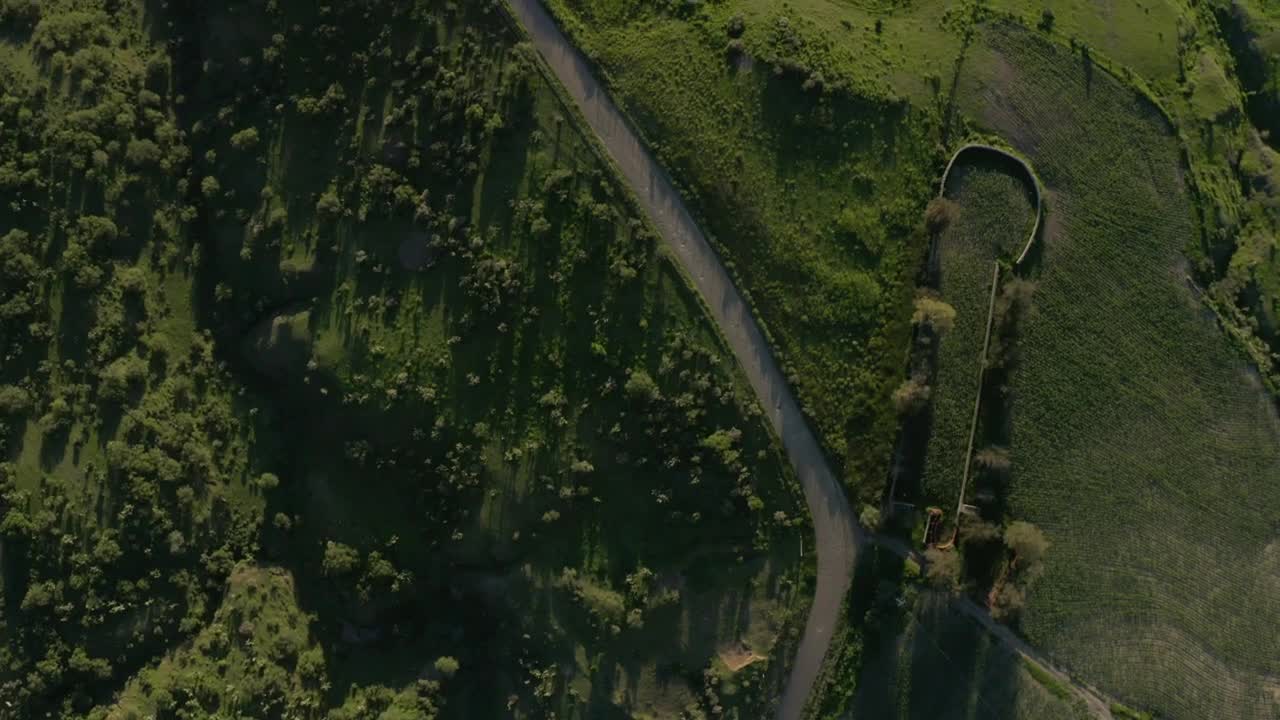 Stock Video Path That Crosses A Meadow Aerial Shot Live Wallpaper