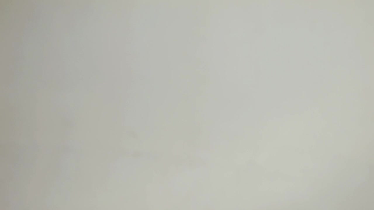 Stock Video Paying Dollars To Woman Live Wallpaper