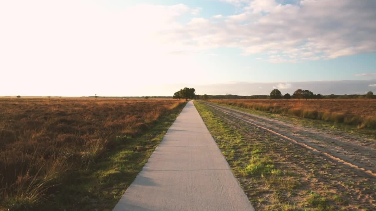 Stock Video Pedestrian Path In A Forest Live Wallpaper