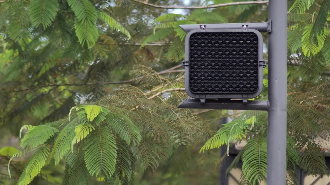 Stock Video Pedestrian Traffic Light On The Street With A Digital Timer Live Wallpaper