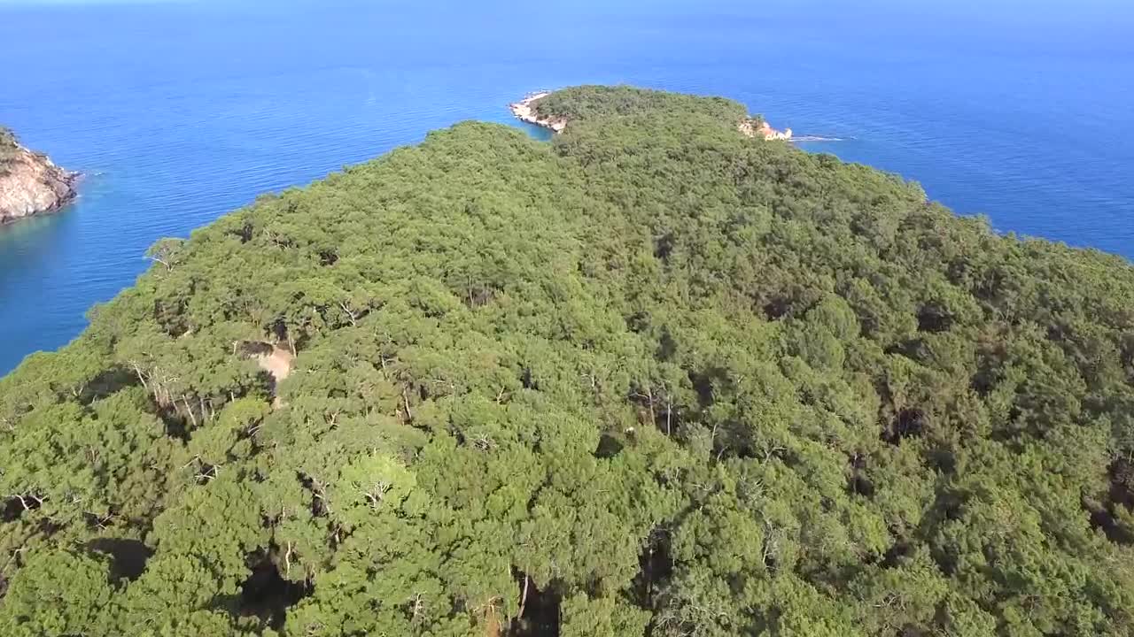 Stock Video Peninsula Covered With A Forest And The Ocean Live Wallpaper