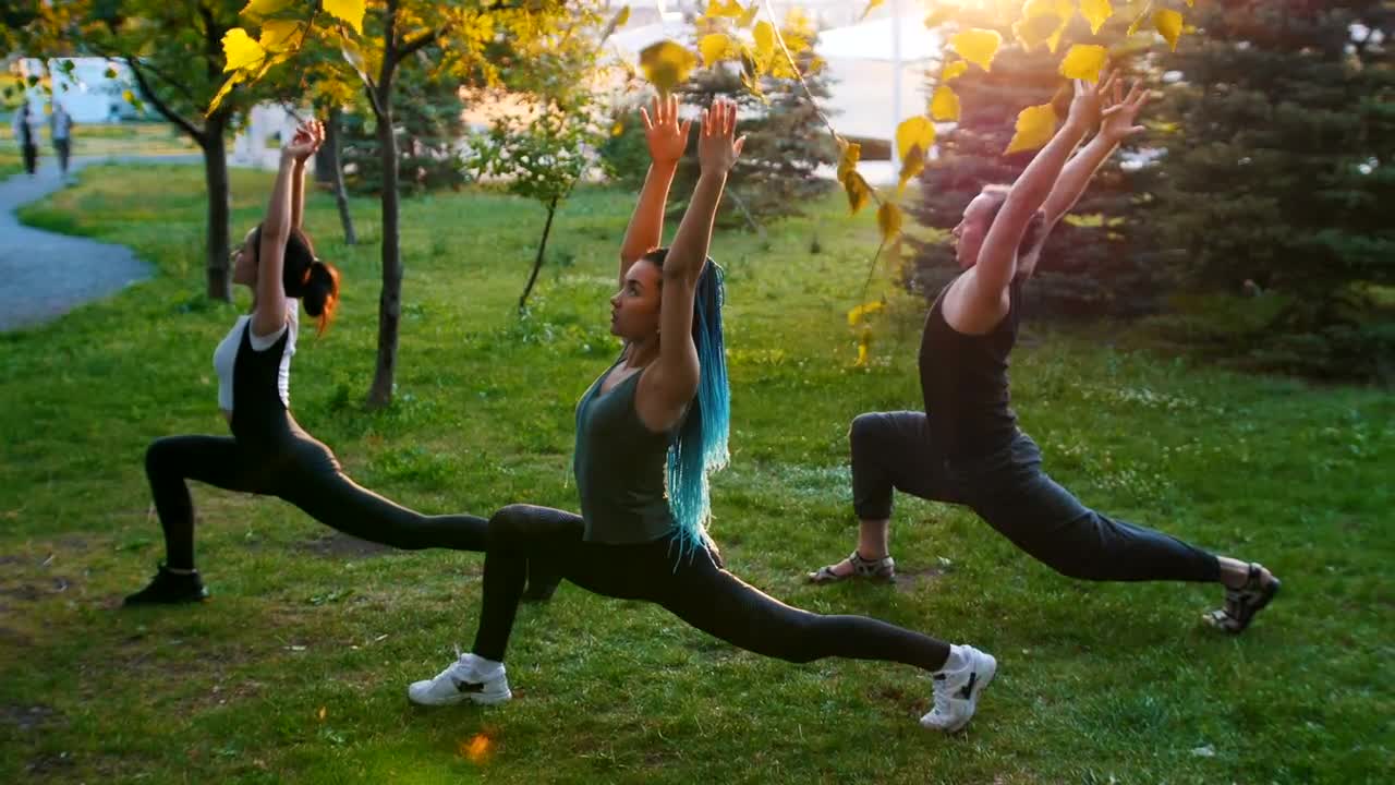 Stock Video People Doing Yoga In The Park Live Wallpaper
