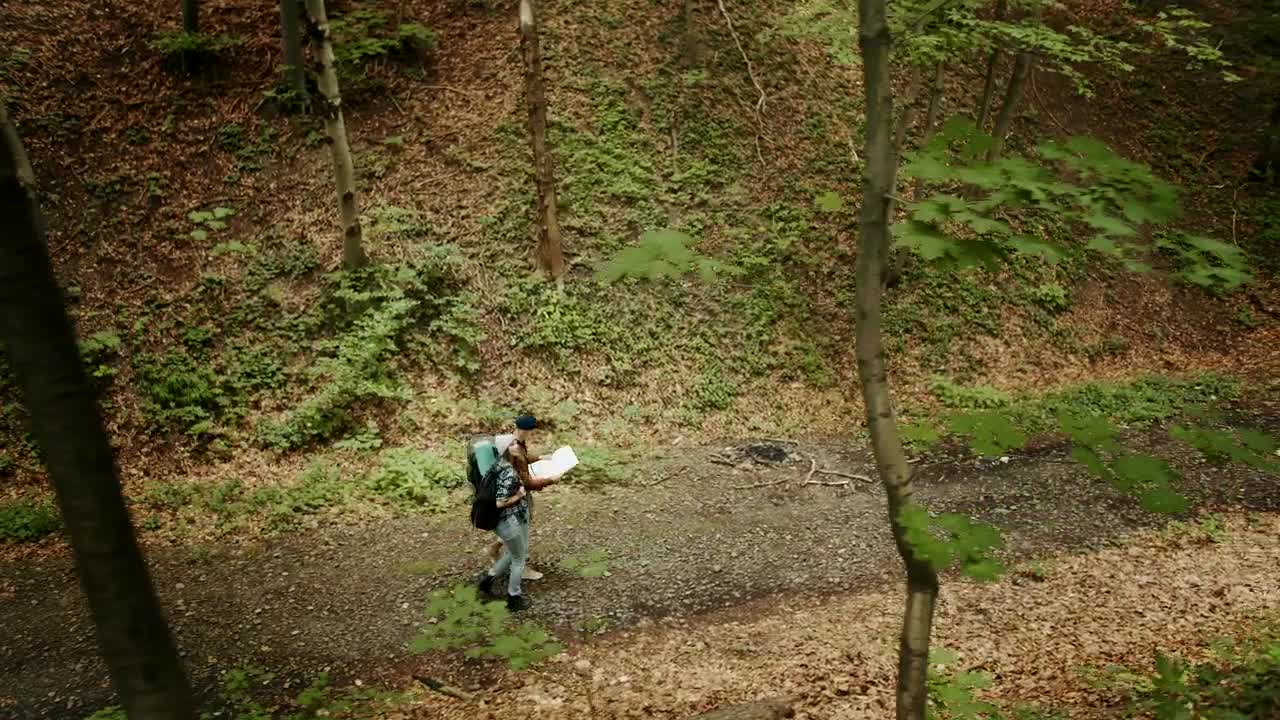 Stock Video People Exploring The Woods For Camping Live Wallpaper