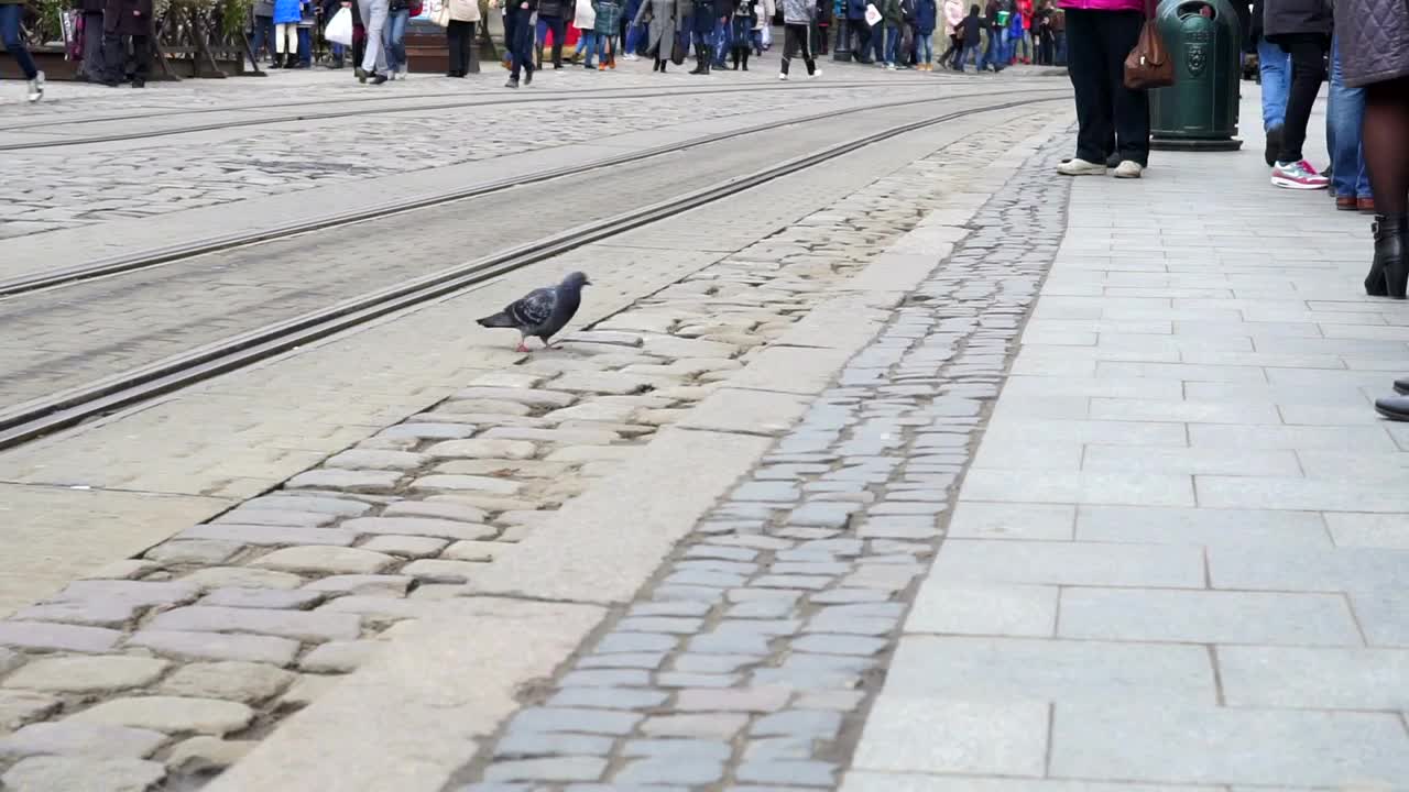 Stock Video People Get Down From The Tram Live Wallpaper