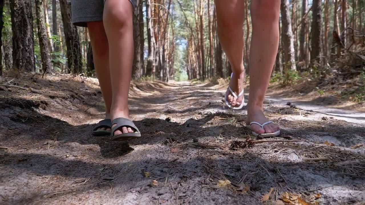 Stock Video People Taking A Walk In The Jungle Live Wallpaper