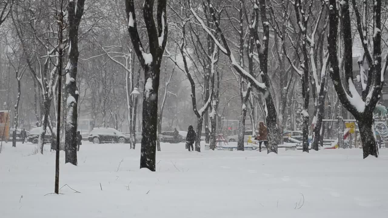 Stock Video People Walking Through Heavy Snow Live Wallpaper