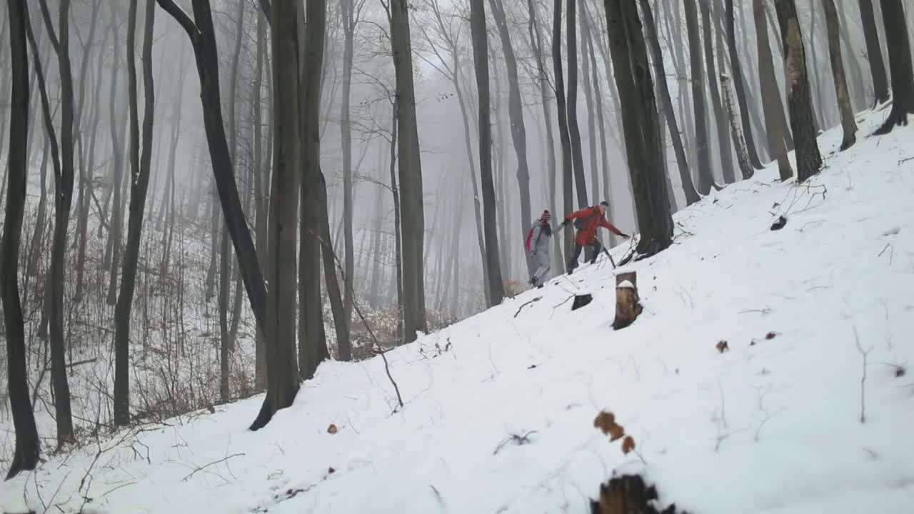 Stock Video People Walking Through The Woods In Winter Live Wallpaper
