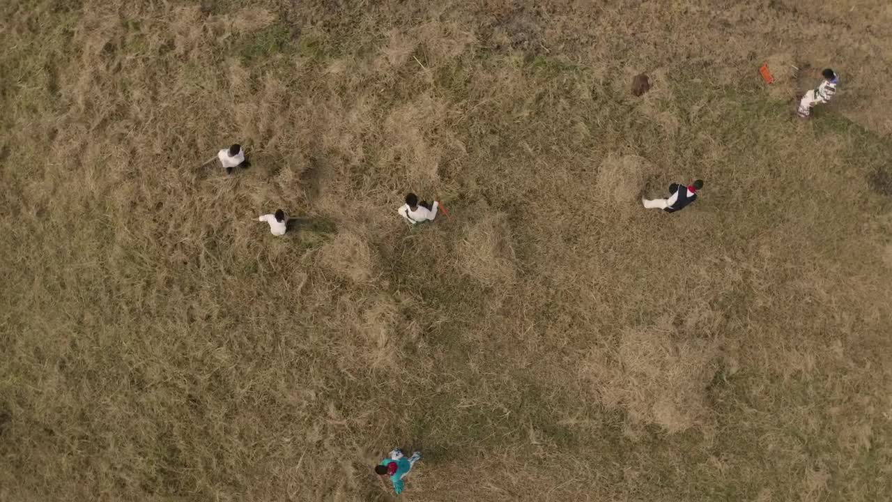 Stock Video People Working In A Field Live Wallpaper