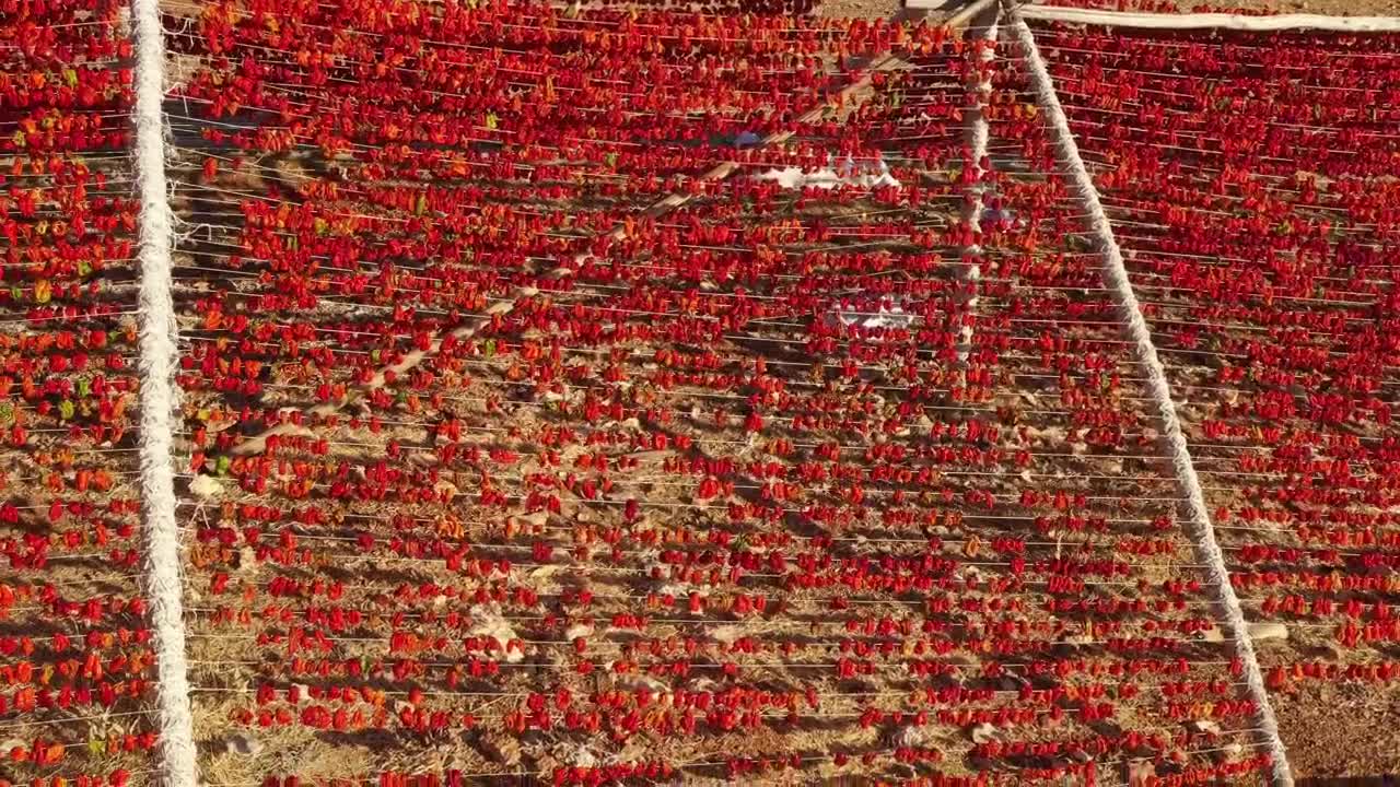 Stock Video Pepper Crops Drying Live Wallpaper