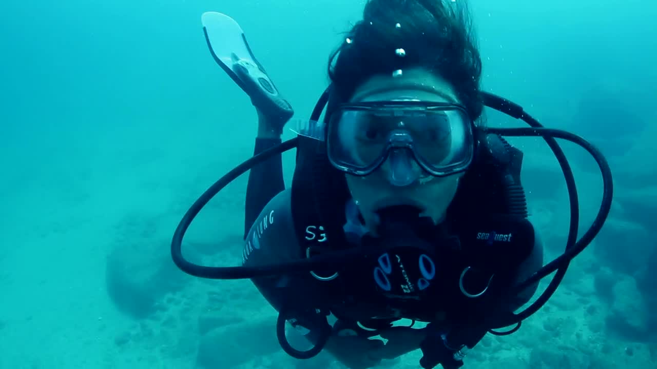 Stock Video Person Diving In A Blue Sea Live Wallpaper