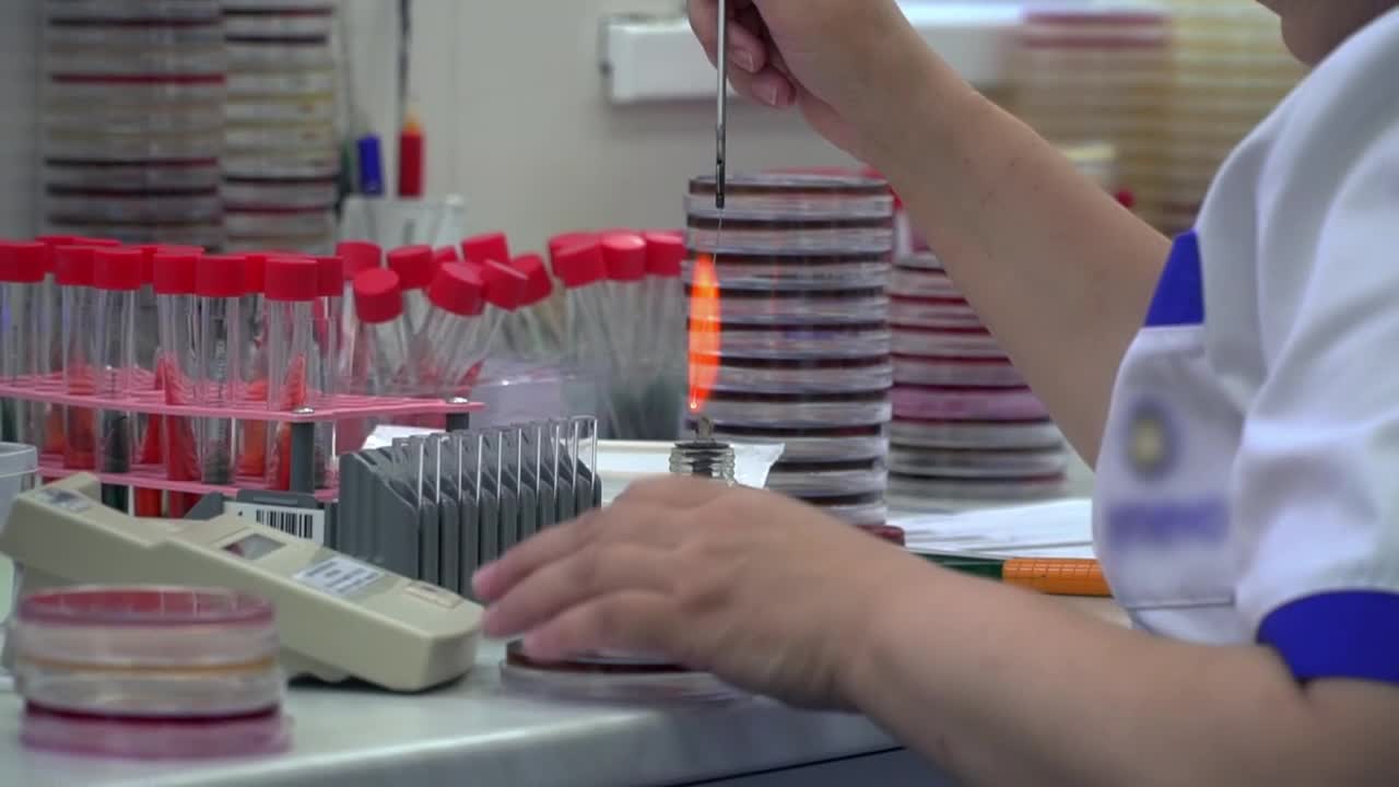 Stock Video Person Heating Samples In A Laboratory Live Wallpaper