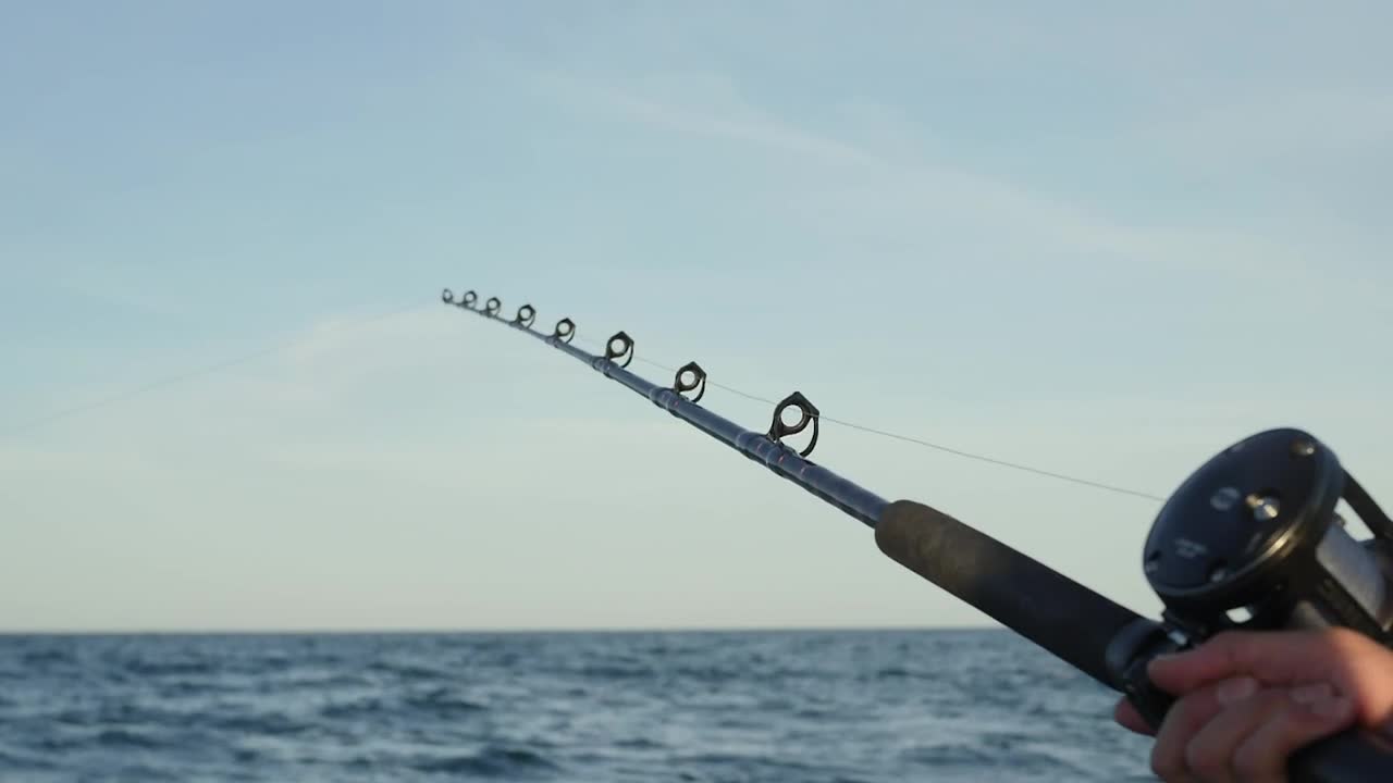 Stock Video Person Holding Fishing Rod Live Wallpaper