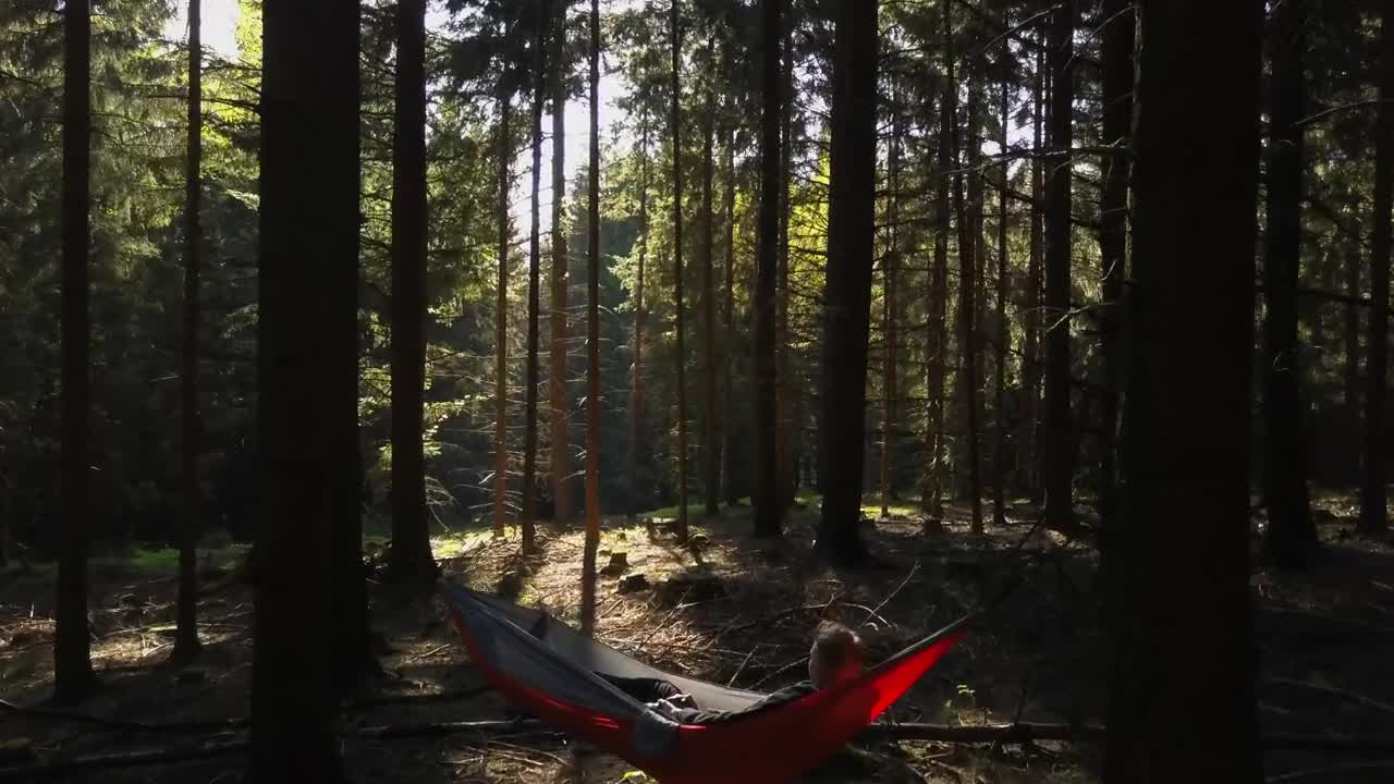 Stock Video Person In A Hammock In The Middle Of A Forest Live Wallpaper