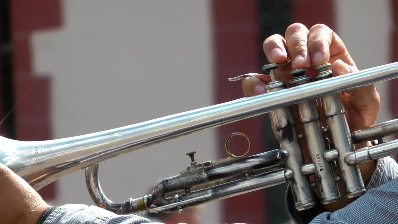 Stock Video Person Playing A Trumpet Close Up Live Wallpaper