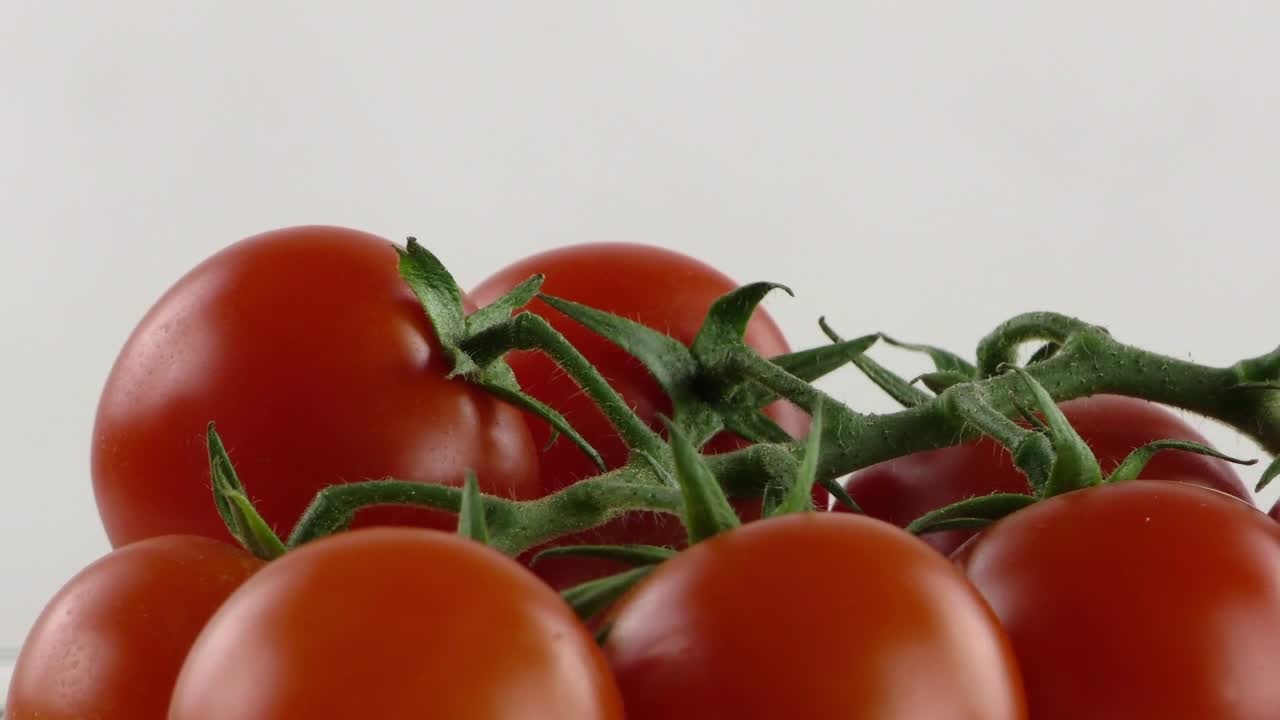 Video Stock Red Tomatoes On White Background Live Wallpaper Free