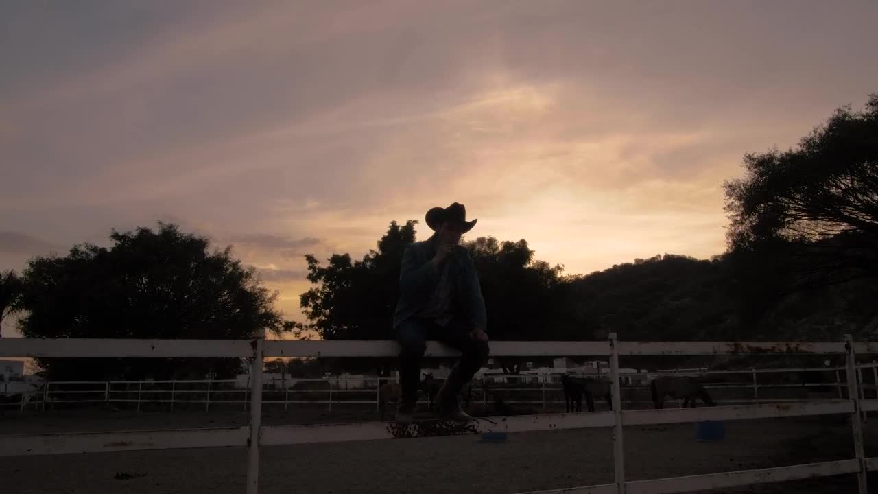 Video Stock Person Sitting On A Fence Silhouetted In Front Of The Live Wallpaper Free