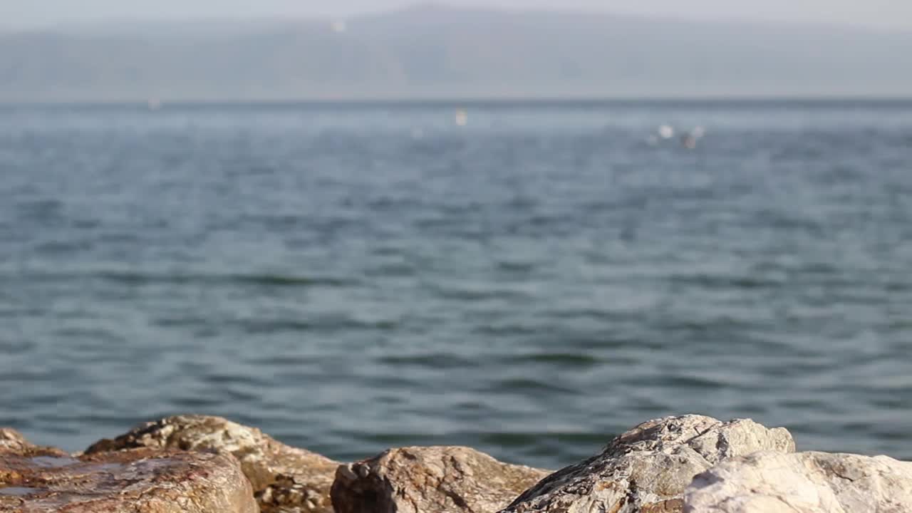 Video Stock Person Standing On A Rock By The Seashore Live Wallpaper Free