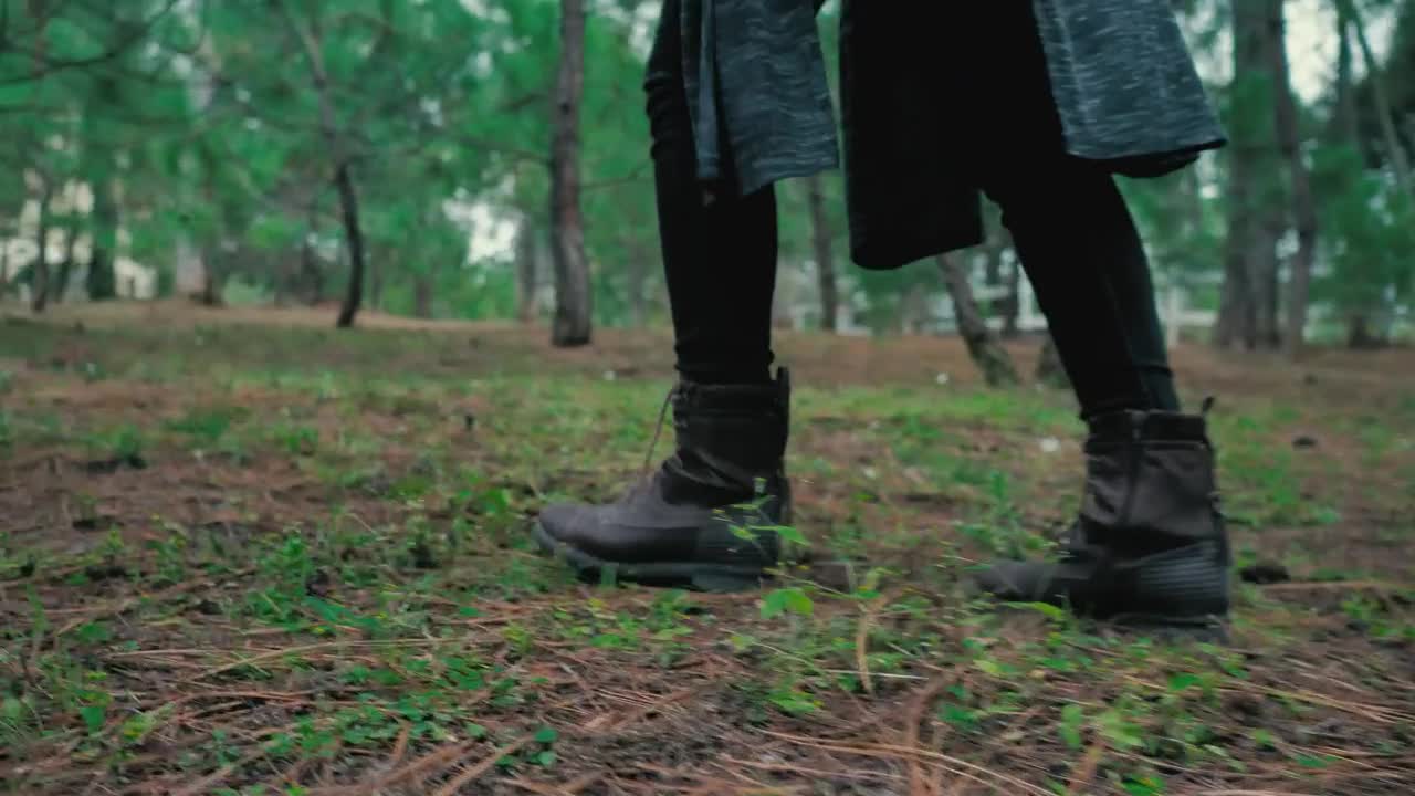 Video Stock Person Walking In A Forest Live Wallpaper Free