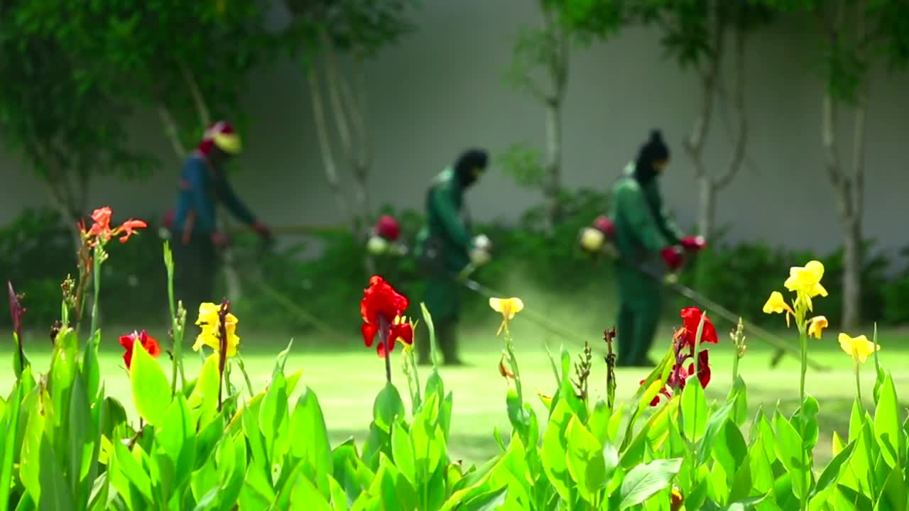 Video Stock Personel Cutting The Garden Grass Live Wallpaper Free