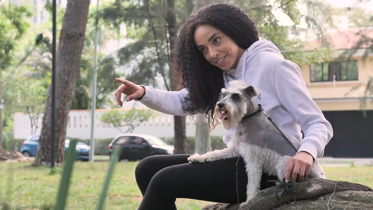 Video Stock Pet Owner Spending Time With His Little Dog In A Live Wallpaper Free