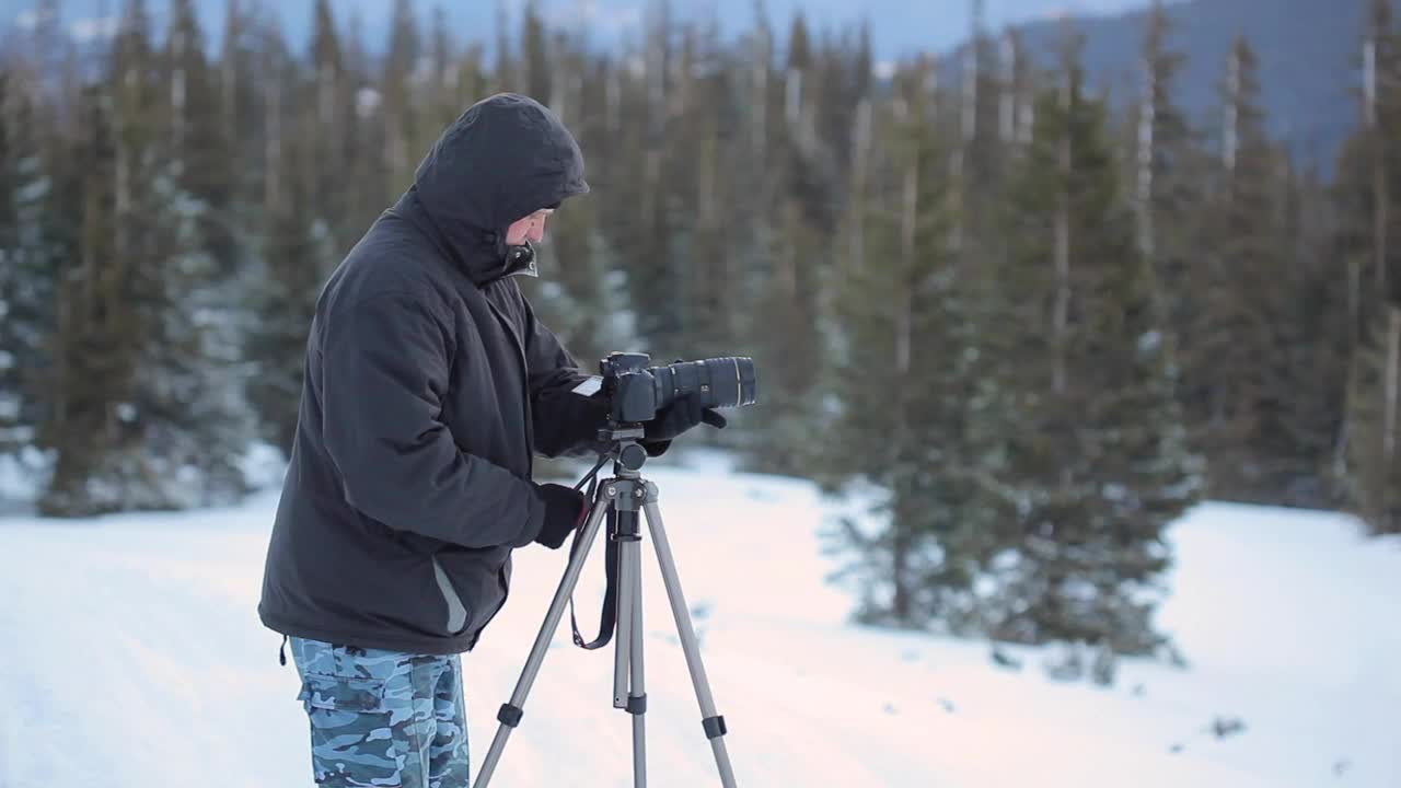 Video Stock Photographer And His Tripod Camera In A Snowy Forest Live Wallpaper Free