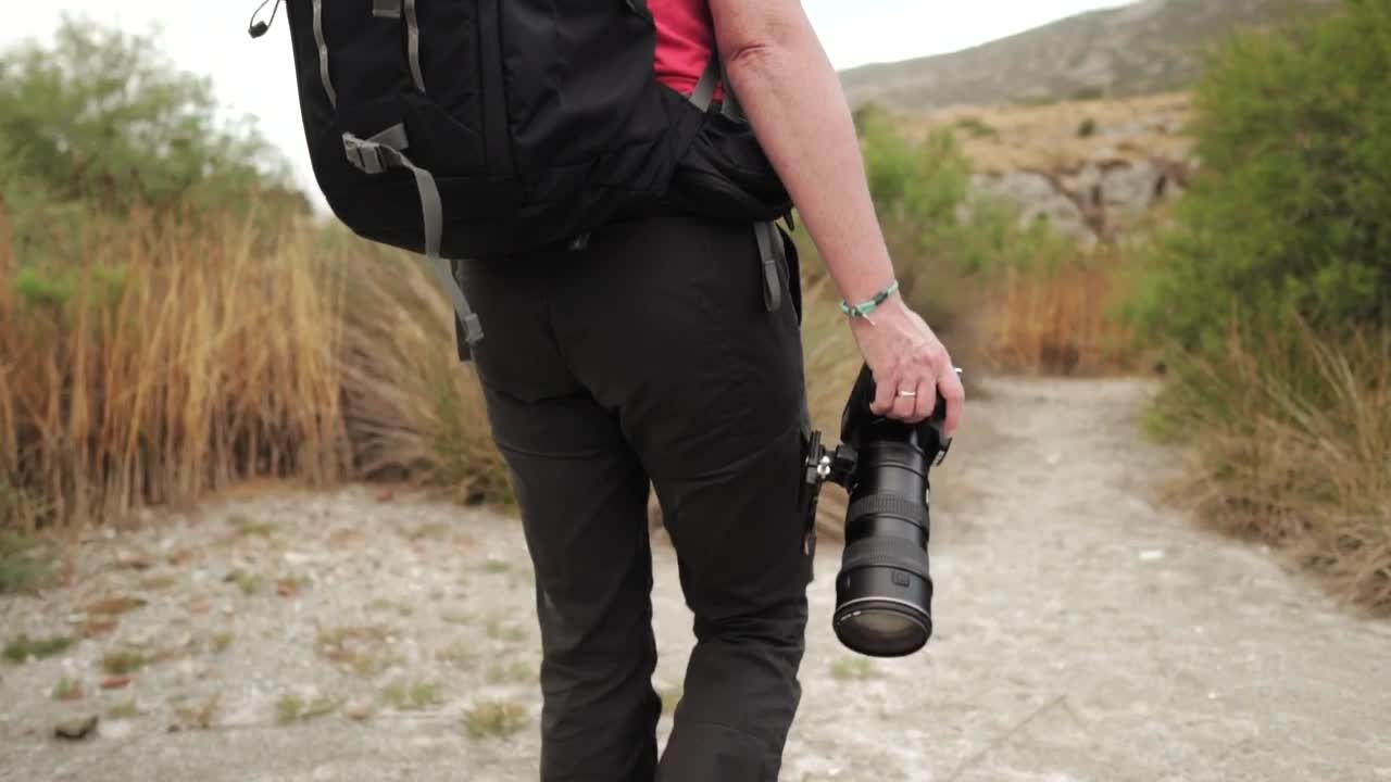 Video Stock Photographer In Nature Live Wallpaper Free