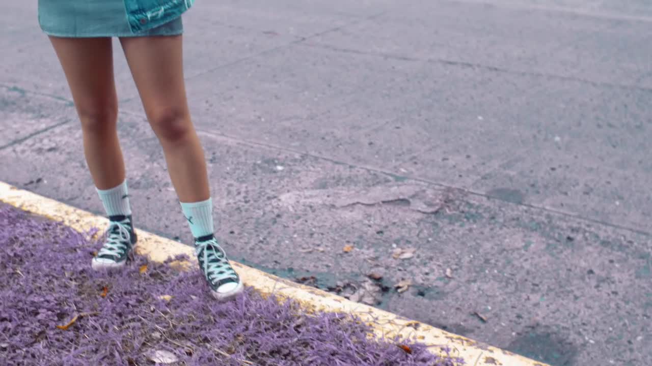 Video Stock Photographer Taking Photos In The Street Live Wallpaper Free