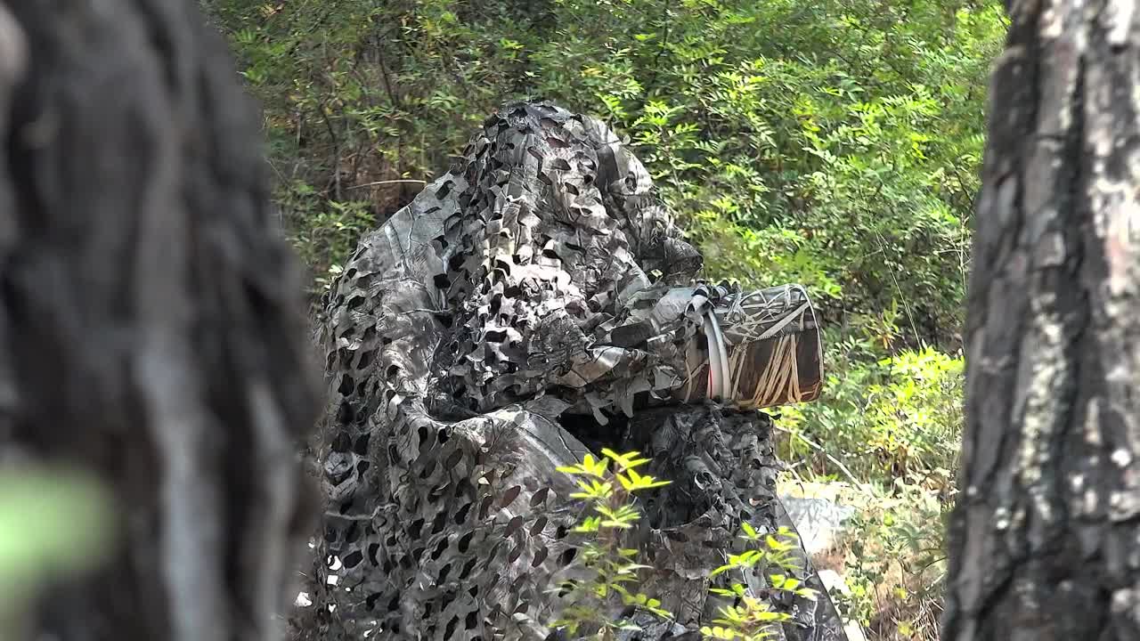 Video Stock Photographer Wearing Camouflage In The Woods Live Wallpaper Free