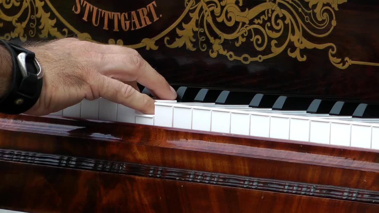 Video Stock Pianist Playing A Song Static Shot Live Wallpaper Free