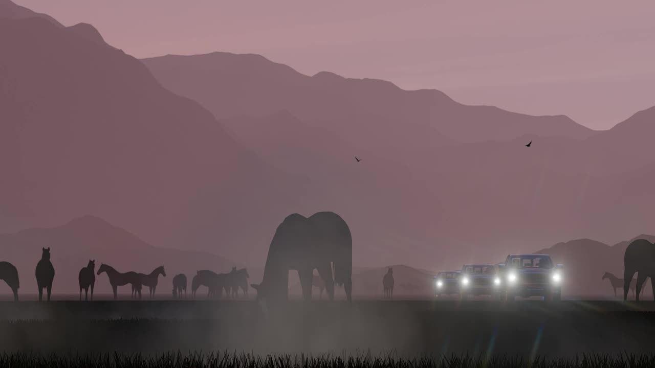 Video Stock Pick Ups Coming From Some Wild Horses Live Wallpaper Free