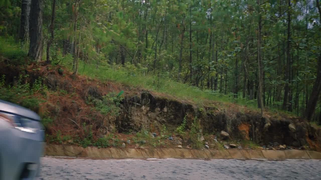 Video Stock Pickup Truck Driving Along An Asphalt Road Through A Forest Live Wallpaper Free